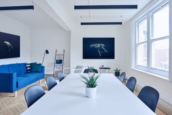 Julia Nance underwater photography - fine art prints for sale