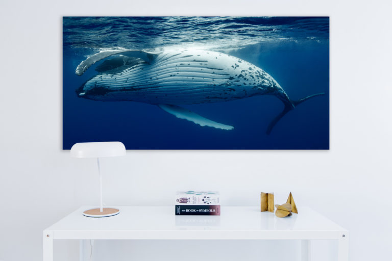 Caress-desk-white