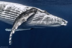 Breathe - Fine Art Print