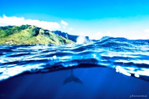 Fluke - Fine Art Print