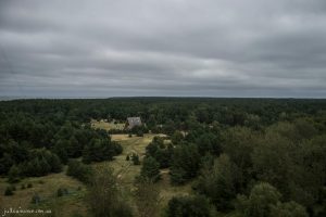 House In The Woods - Fine Art Print