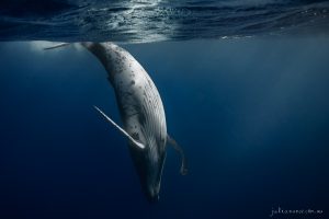 Dancer - Fine Art Print