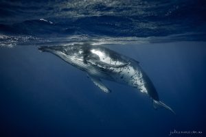 Exhale - Fine Art Print