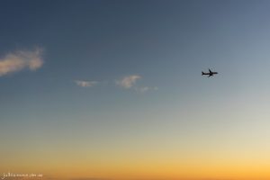 In Flight - Fine Art Print