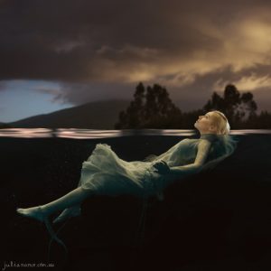 Swan - Fine Art Print