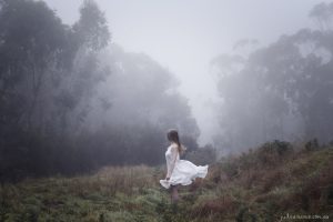 The Rolling Fog - Fine Art Print