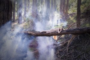 The Beauty Of Misfortune - Fine Art Print
